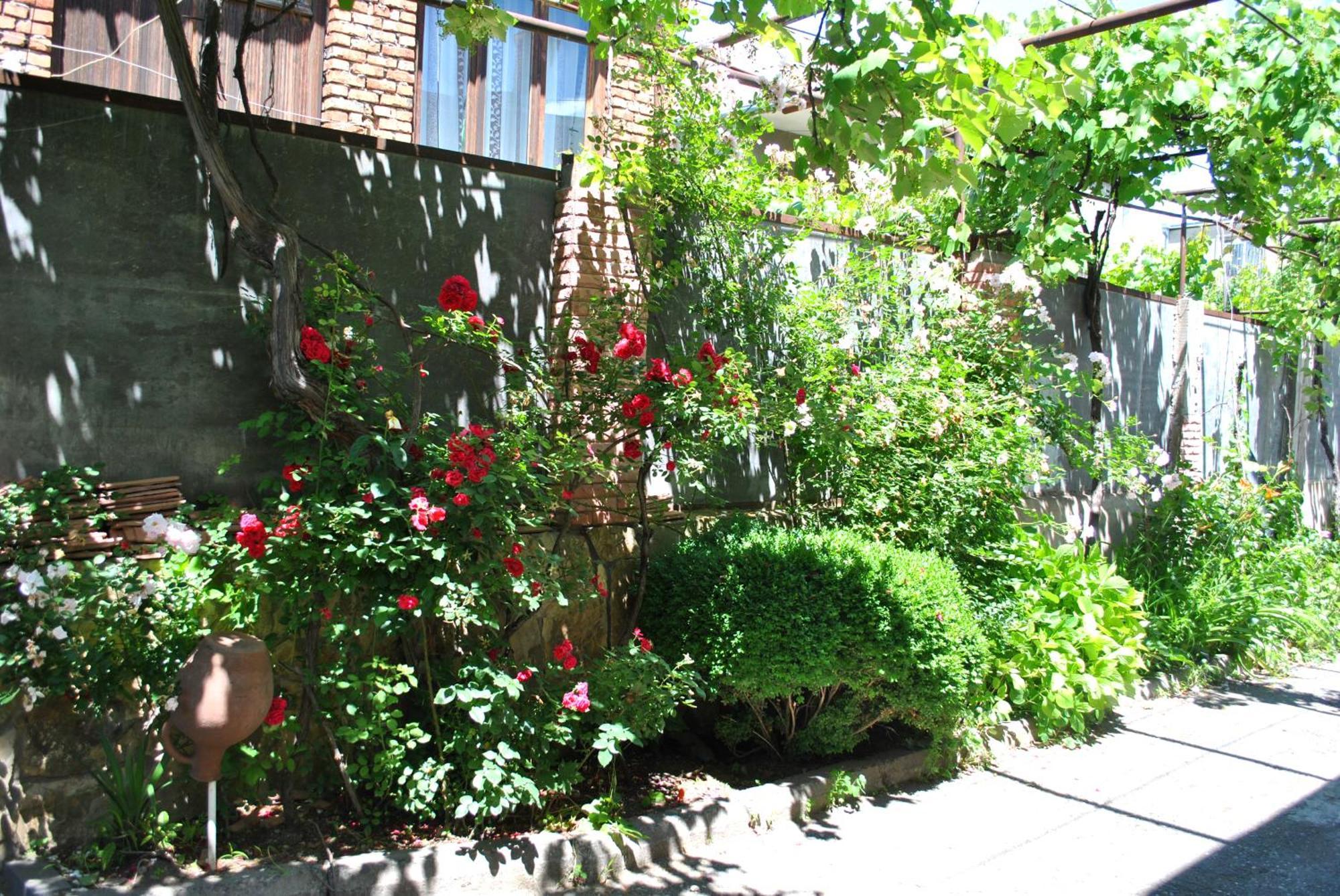 Tamar Guest House 고리 객실 사진